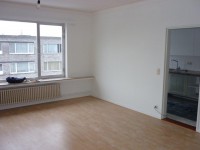 P1010275.jpg
